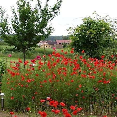 Apartmán Ruhige Fewo Im Gruenen Mit Balkon, Terrasse Und Grossem Garten Sehlen Exteriér fotografie